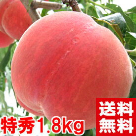 楽天市場 桃の通販