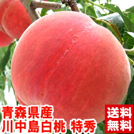青森県産 津軽の桃 川中島白桃 大玉 特秀糖度13度以上の特秀品を厳選！初秋に食べれる晩生桃の最高峰♪北海道、沖縄、一部離島は別途1,000円