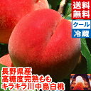 長野県産 大玉川中島白桃1.6kg糖度13.5度以上保障！！光センサー選果・最高等級「キラキラ」もも 桃 光センサー選果北…