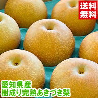愛知県産 樹成り完熟あきづき梨 秀品安心の光センサー選果新高×豊水×幸水から生まれたみずみずしく食味…