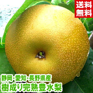 芮nL GinCeNZT[IʂňSōx̓x13xȏIIkCAAꕔ͕ʓr1,000~