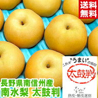 南信州産 太鼓判 南水梨高い糖度とシャキシャキした果肉が絶品♪僅かしか選果されない特別等級！北海道、…