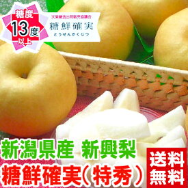 新潟県産 新興梨 特秀 糖鮮確実糖度13度以上厳選の特別等級！二十世紀梨から生まれた大玉梨みずみずしく爽やかな果汁たっぷり♪北海道、沖縄、一部離島は別途1,000円