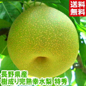 쌧Y 芮nK GnCeNZT[IʂŌII킸IʂȂGikCAAꕔ͕ʓr1,000~
