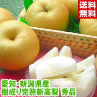 樹成り完熟大玉新高梨 秀品まさに笑激の大きさ!!しかも大きいだけでなく甘い果汁たっぷり♪糖度13度以上…