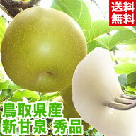 鳥取県産 新甘泉 秀品20世紀梨を進化させた新品種！北海道、沖縄は別途1,000円