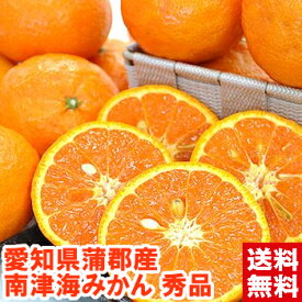 愛知県蒲郡産 ハウス南津海（なつみ）秀品4kg約一年かけて作られる今年最後のみかんカラマンダリンとポンカンの交配種♪北海道、沖縄・一部離島は発送不可