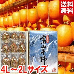 360N`Zpݏo▭Ȏ͐iIIxR` kCAAꕔ͕ʓr1,000~