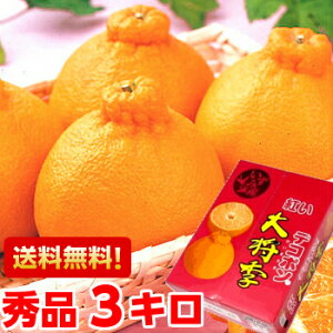 Y 叫G Gi 3kgxE_x̊NAgfR|Mtg 叫G fR|kCAAꕔ͕ʓr1,000~