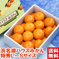 静岡県産 浜名湖ハウスみかん 特秀プライム安心の光センサー選果！わずか上位10％の特秀品を厳選！御中元…