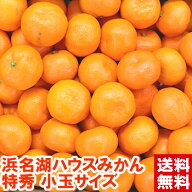 ご家庭用小粒サイズだからお買い得♪静岡県産 浜名湖小粒ハウスみかん 特秀プライム安心の光センサー選果…