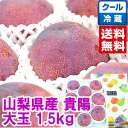 山梨県産 貴陽 大玉サイズ 約1.5kg知る人ぞ知る最高級プラム御中元 ギフト プレゼント プラム 貴陽北海道、沖縄は別途1,000円