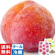 秋姫プラム 秀品 大玉 約1.5キロ初秋の9月に食べれる大玉プラム！程よい酸味と果汁が豊富でジューシーな…