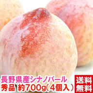 長野県県産 シナノパール プラム 秀品 約700g（4個入）一度食べれば忘れられなくなる程の美味しさ♪種も…