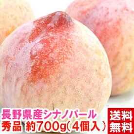 長野県県産 シナノパール プラム 秀品 約700g（4個入）一度食べれば忘れられなくなる程の美味しさ♪種も小さく可食部が多いの特徴です。ギフト シナノパール プラム北海道、沖縄は別途1,000円