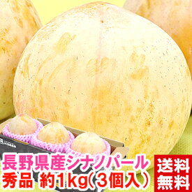 長野県県産 シナノパール プラム秀品 超大玉3個（約1キロ）一度食べれば忘れられなくなる程の美味しさ♪種も小さく可食部が多いの特徴です。ギフト シナノパール プラム北海道、沖縄は別途1,000円