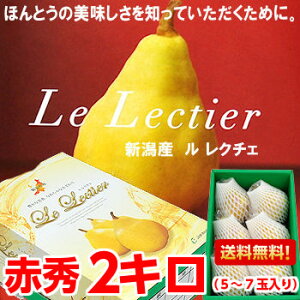 Ε Mtg m N`F ԏG VYNF߂m̍ōIVY N`F ԏG2kgi5`7jkCAAꕔ͕ʓr1,000~