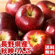 長野県産 大玉 秋映りんご甘味と酸味のバランスが絶妙♪北海道、沖縄は別途1,000円