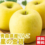 青森県産 希少りんご 星の金貨北海道、沖縄、一部離島は別途1,000円