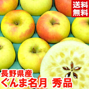 長野県産 ぐんま名月 秀品サンふじ以上とも言われる美味しさ♪北海道、沖縄、一部離島は別途1,000円