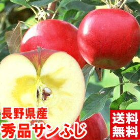 今シーズンは天候の関係で中玉・小玉サイズです！長野県産 樹成り完熟サンふじりんご 秀品シャキッとした果肉で味濃い信州りんご♪お歳暮 ギフト りんご サンふじ 秀品北海道、沖縄、一部離島は別途1,000円