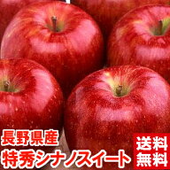長野県産 大玉シナノスイート 特秀プロも認める秋りんごの最高傑作♪ふじとつがるから誕生したサラブレッ…