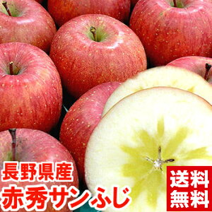 V[Y͓V̊֌WŒʁEʃTCYłI쌧Y 芮nTӂ ԏGVLbƂʓŖZ`Mtg  Tӂ 󂠂kCAAꕔ͕