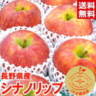 長野県産シナノリップ夏りんごの常識を覆す美味しさ！ジューシーで甘味と酸味のバランスが絶妙♪8月21日…