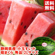 静岡県産 小玉すいか 姫まくら 秀品2Lサイズ冷蔵庫に丸々入る食べ切りサイズ皮の際まで甘〜い果汁たっぷ…