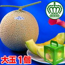 父の日 プレゼント ギフト メロン気品あふれる果汁たっぷり♪マスクメロンの最高峰ブランド!静岡産大玉クラウンメロン1.4kg以上1個