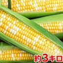 父の日 プレゼント ギフト とうもろこし入手困難!生でも食べられるとうもろこし!朝どり甘々娘(かんかんむすめ)3kg