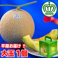 父の日 ギフト プレゼント 送料無料1週間早いお届けだからお買い得！配送期間：6月9日(火)〜6月13日(土)…
