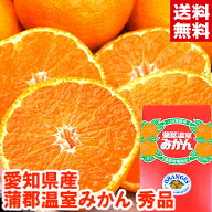 愛知県産 蒲郡温室みかん秀品（化粧箱）日本農業賞大賞を受賞の最高級ブランド♪安心のハイテク光センサ…