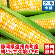 森のとうもろこし静岡県森町産 朝どりとうもろこし 甘々娘3kg鮮度保持のため冷蔵便でお届けいたします！…