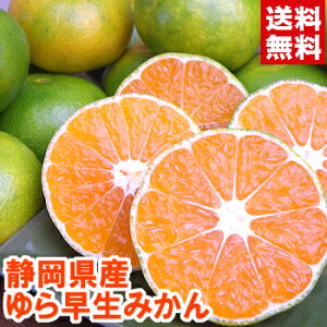 ÉY 瑁݂݂ tbVȍƊÖy߂V[Ygbvob^[̐؂݂IŠZT[IʁIkCAEꕔ͔s