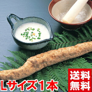 ÉY R LTCY1{ʖuRȂvƌĂ΂قǉh{_IMtg É RkCAAꕔ͕ʓr1,000~