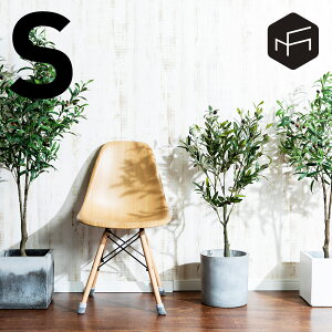 Olive S I[u tFCNO[ ϗtA lHϗtA  I[u̖ tFCN 90cm  CeA i` j  Ȃ musoufurniture