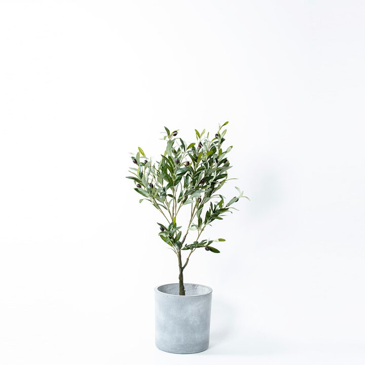 楽天市場 Olive M オリーブ 観葉植物 フェイクグリーン 人工 造花 おすすめ おしゃれ インテリア 大きい ナチュラル 男前 Diy お祝い 樹木 鉢別売り Musou Furniture 楽天市場店