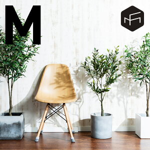Olive M I[u tFCNO[ ϗtA lHϗtA  I[u̖ tFCN 120cm  CeA i` j  Ȃmusoufurniture