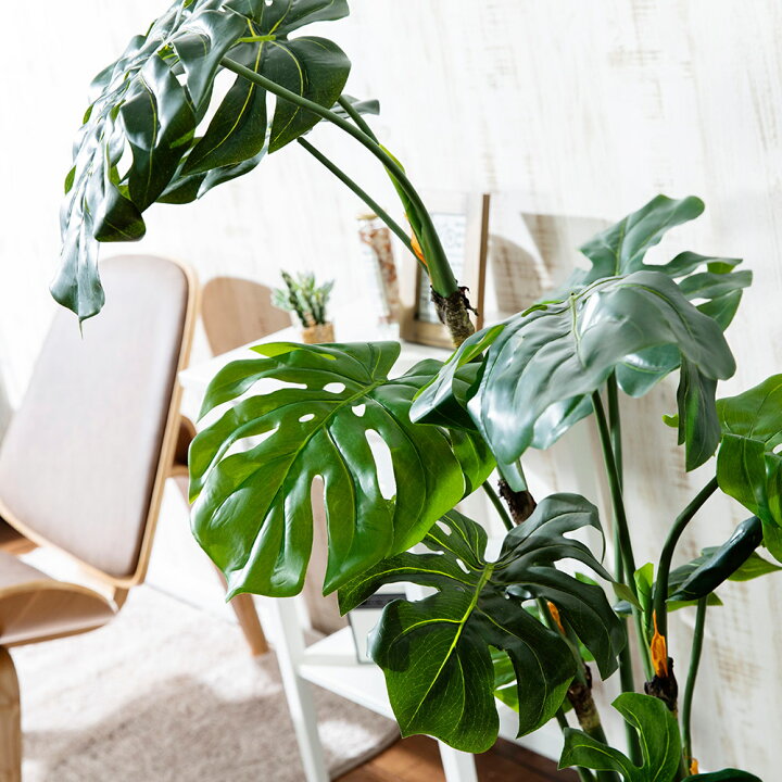 楽天市場 Monstera M モンステラ ホウライショウ 観葉植物 フェイクグリーン 人工 造花 おすすめ おしゃれ インテリア 大きい 南国 リゾート ホテル Diy お祝い 樹木 鉢別売り Musou Furniture 楽天市場店 楽天市場 Monstera M モンステラ ホウライショウ 観葉植物 フェイクグリーン 人工 造花 おすすめ おしゃれ インテリア 大きい 南国 リゾート ホテル Diy お祝い 樹木 鉢別売り Musou Furniture 楽天市場店