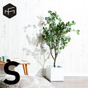 Eucalyptus S [J tFCNO[ ϗtA lHϗtA  120cm  CeA sv i` j   Ȃ musoufurniture