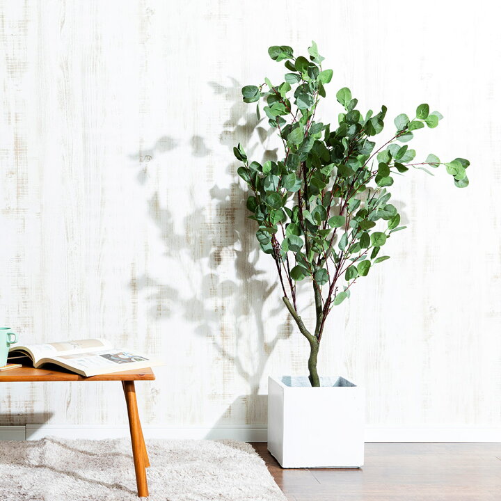 楽天市場 Eucalyptus S ユーカリ 観葉植物 フェイクグリーン 人工 造花 おすすめ おしゃれ インテリア 大きい ナチュラル 男前 Diy お祝い 樹木 鉢別売り Musou Furniture 楽天市場店