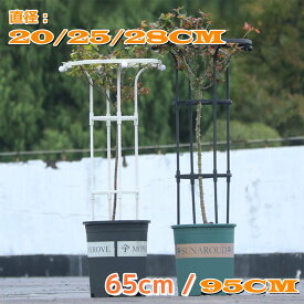 オベリスク トレリス ガーデン 支柱 花支え 送料無料 つる バラ 薔薇 庭 ガーデニング 誘引 操作簡単 金属製 簡易組立式 つる性植物 つる 花 ばら 菜園 組み立て 園芸 庭 耐候性 装飾 園芸植物登山トレリス 植物サポート