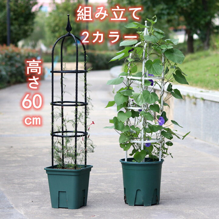 楽天市場 オベリスク アイアン トレリス バラ用 ガーデン 支柱 花支え 送料無料 つるバラ 薔薇 庭 ガーデニング 誘引 操作簡単 金属製 簡易組立式 高さ調節可能 つる性植物 つる花 ばら 菜園 組み立て 園芸 庭 耐候性 装飾 植物サポート Musouka楽天市場店