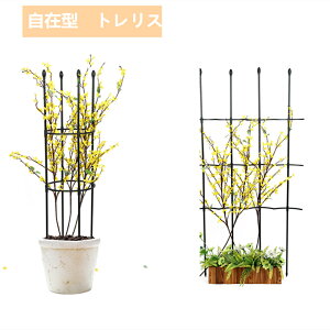バラ オベリスクの人気商品 通販 価格比較 価格 Com バラ オベリスクの人気商品 通販 価格比較 価格 Com
