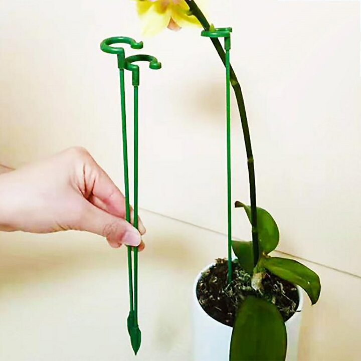 楽天市場 花支え 花ささえ 植物サポート 観葉支柱 誘引 支柱 支柱棚 フラワー支柱 ガーデニング 農業用 園芸用 園芸支柱 観葉植物トレリス ３０点セット Musouka楽天市場店