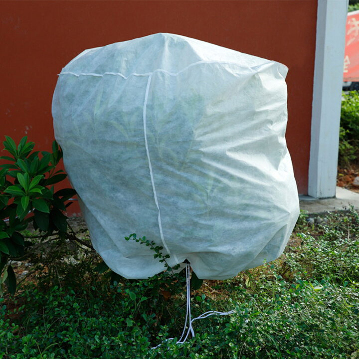 楽天市場】保護カバー 植物 防寒カバー 植物カバー 不織布 防寒 保温 防雪 防風 防霜 虫害 凍結防止 通気性 鉢植え ジッパー付き 調節引き紐付き 再利用可能 植物保護袋 プランターカバー 植物保温ネット 室内 室外 ガーデン 観葉植物 園芸用品 : musouka楽天市場店 楽天市場】保護カバー 植物 防寒カバー 植物カバー 不織布 防寒 保温 防雪 防風 防霜 虫害 凍結防止 通気性 鉢植え ジッパー付き 調節引き紐付き 再利用可能 植物保護袋 プランターカバー 植物保温ネット 室内 室外 ガーデン 観葉植物 園芸用品 : musouka楽天市場店