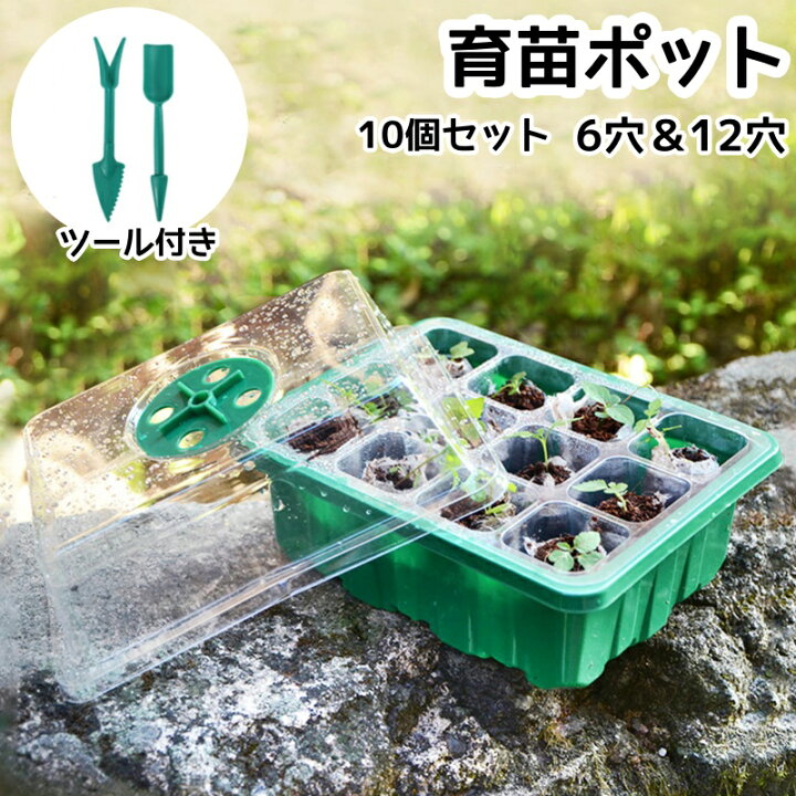 楽天市場】育苗ポット 育苗トレイ 育苗箱 6穴 12穴 10個セット 種子 