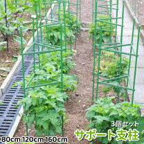 楽天市場】3本 支柱 トマトの通販