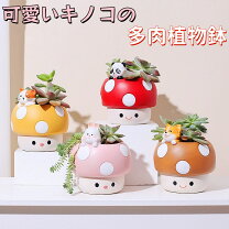 楽天市場】きのこ ポットの通販